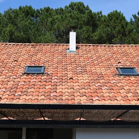 Evasion Cotiere Tranquillite Entre Foret Et Ocean Vielle-Saint-Girons Exterior foto