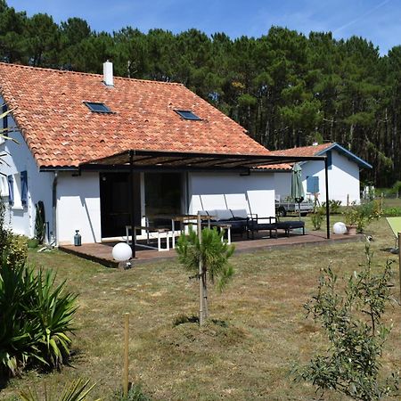 Evasion Cotiere Tranquillite Entre Foret Et Ocean Vielle-Saint-Girons Exterior foto