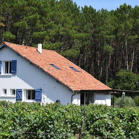Evasion Cotiere Tranquillite Entre Foret Et Ocean Vielle-Saint-Girons Exterior foto