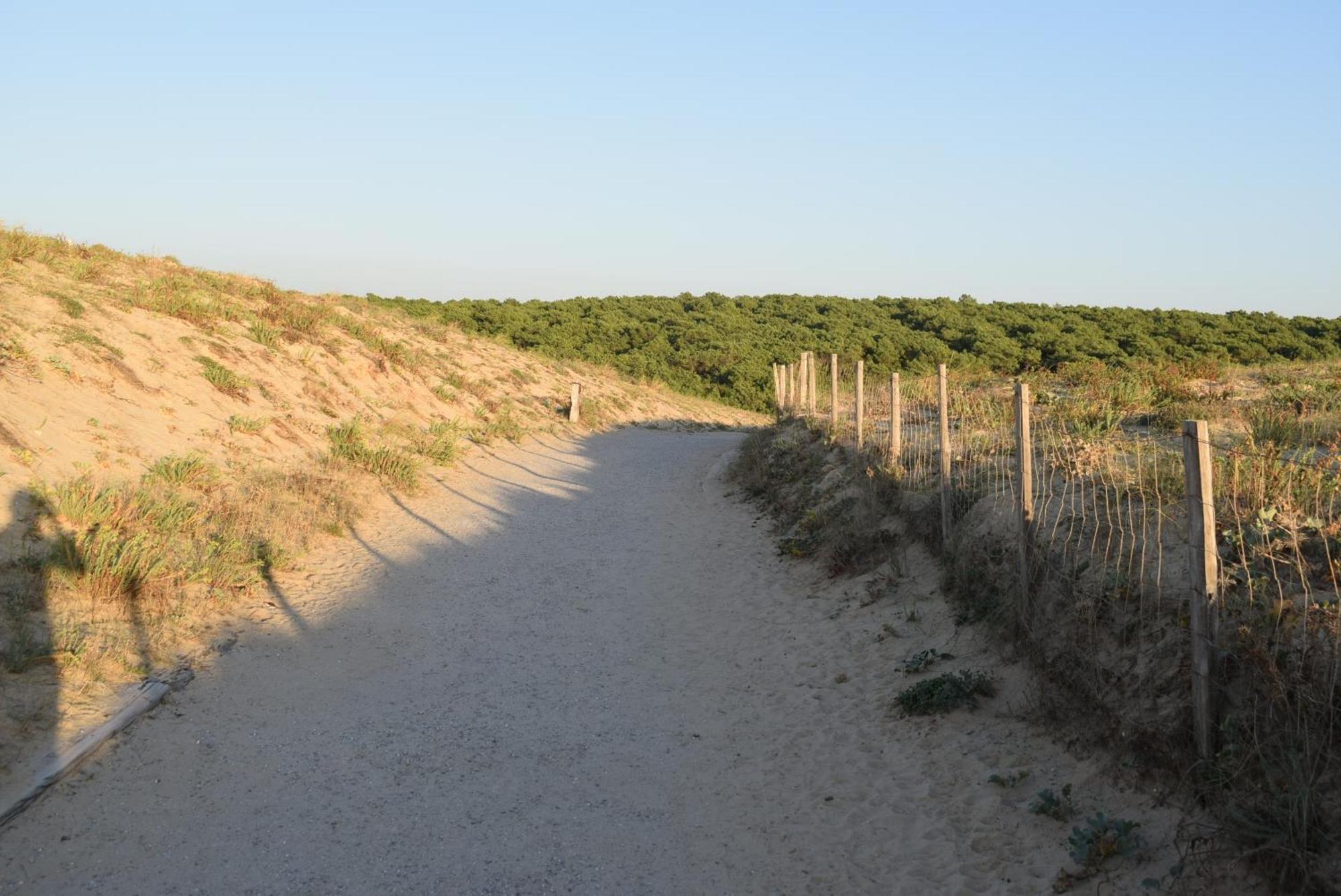 Evasion Cotiere Tranquillite Entre Foret Et Ocean Vielle-Saint-Girons Exterior foto