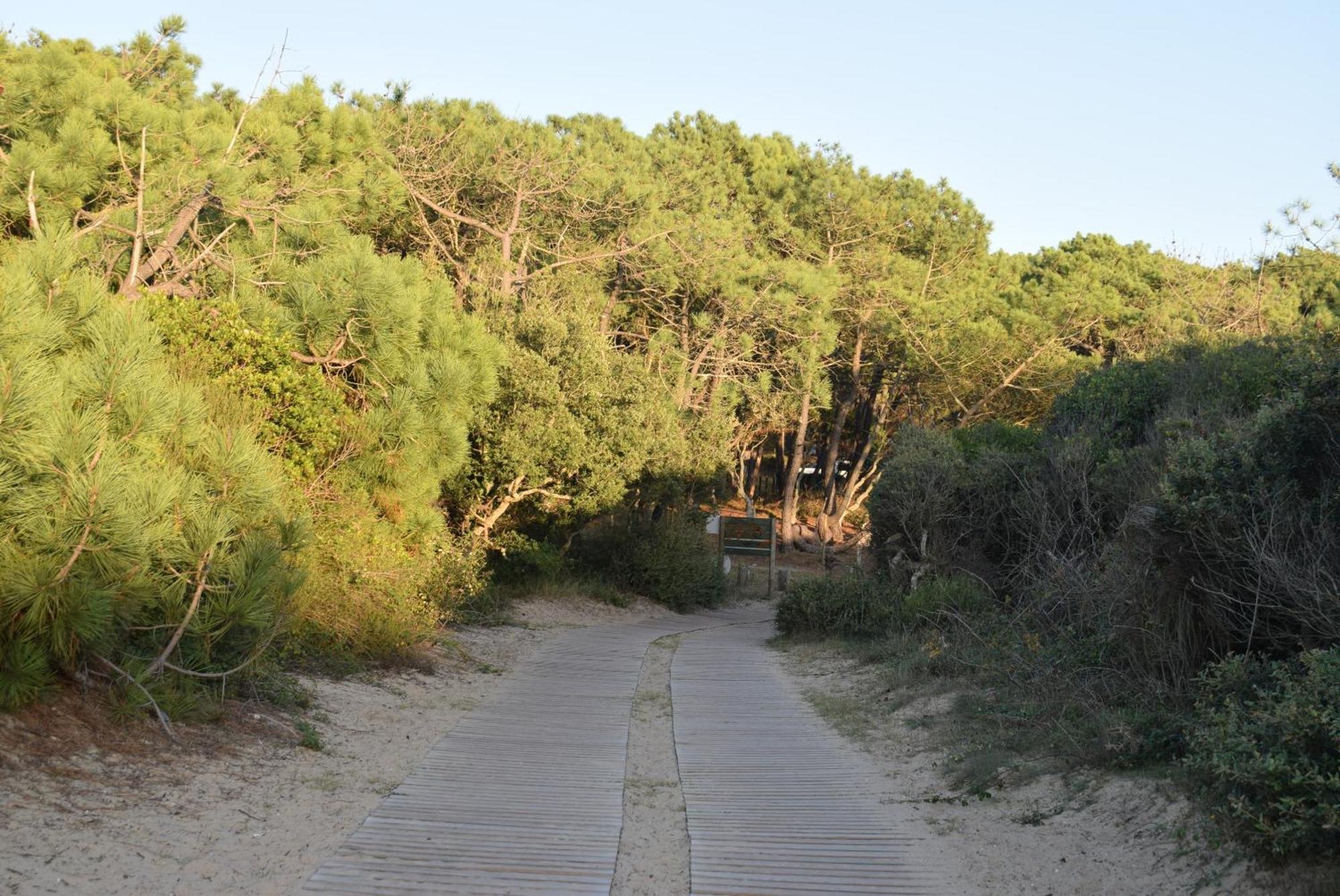 Evasion Cotiere Tranquillite Entre Foret Et Ocean Vielle-Saint-Girons Exterior foto
