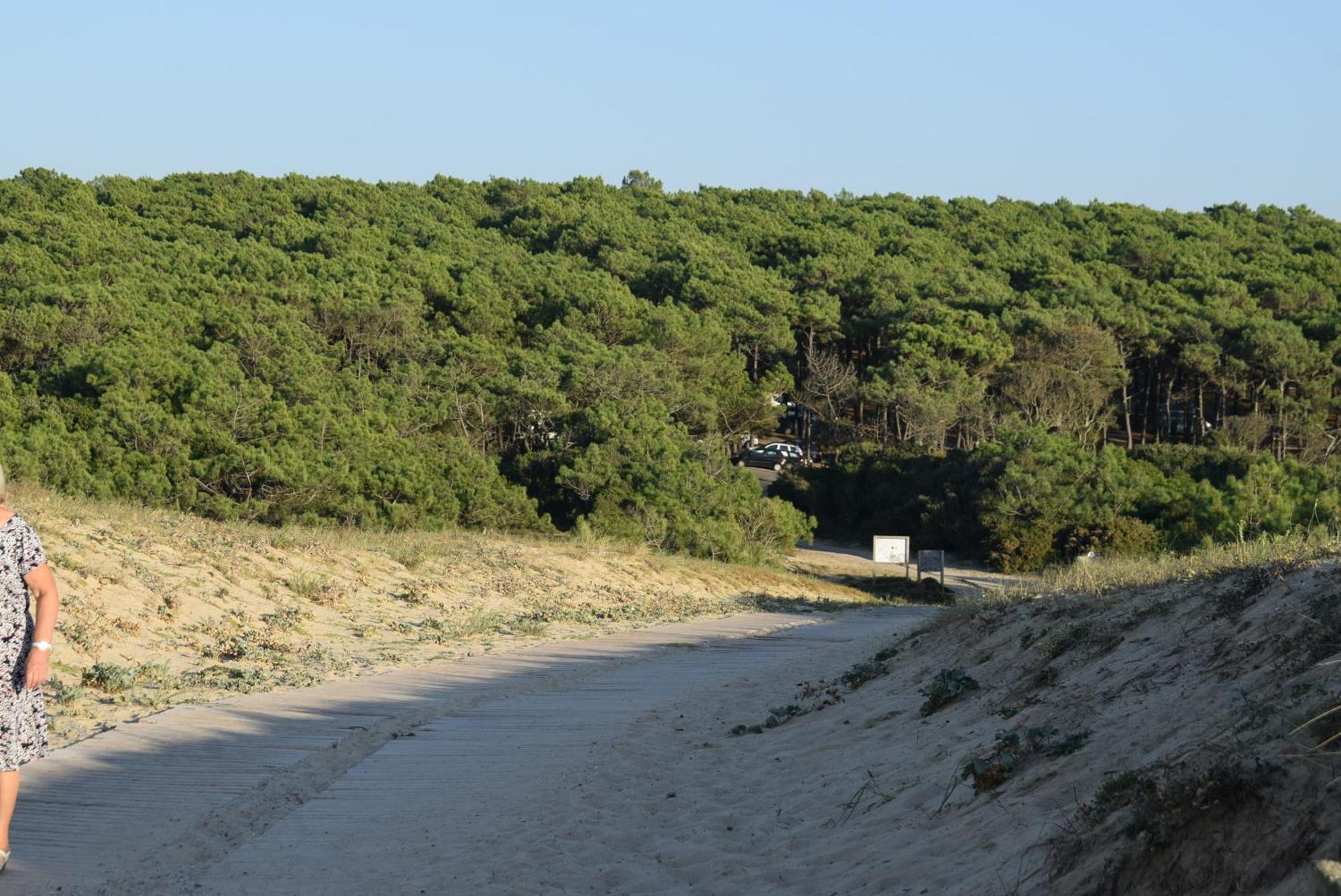 Evasion Cotiere Tranquillite Entre Foret Et Ocean Vielle-Saint-Girons Exterior foto
