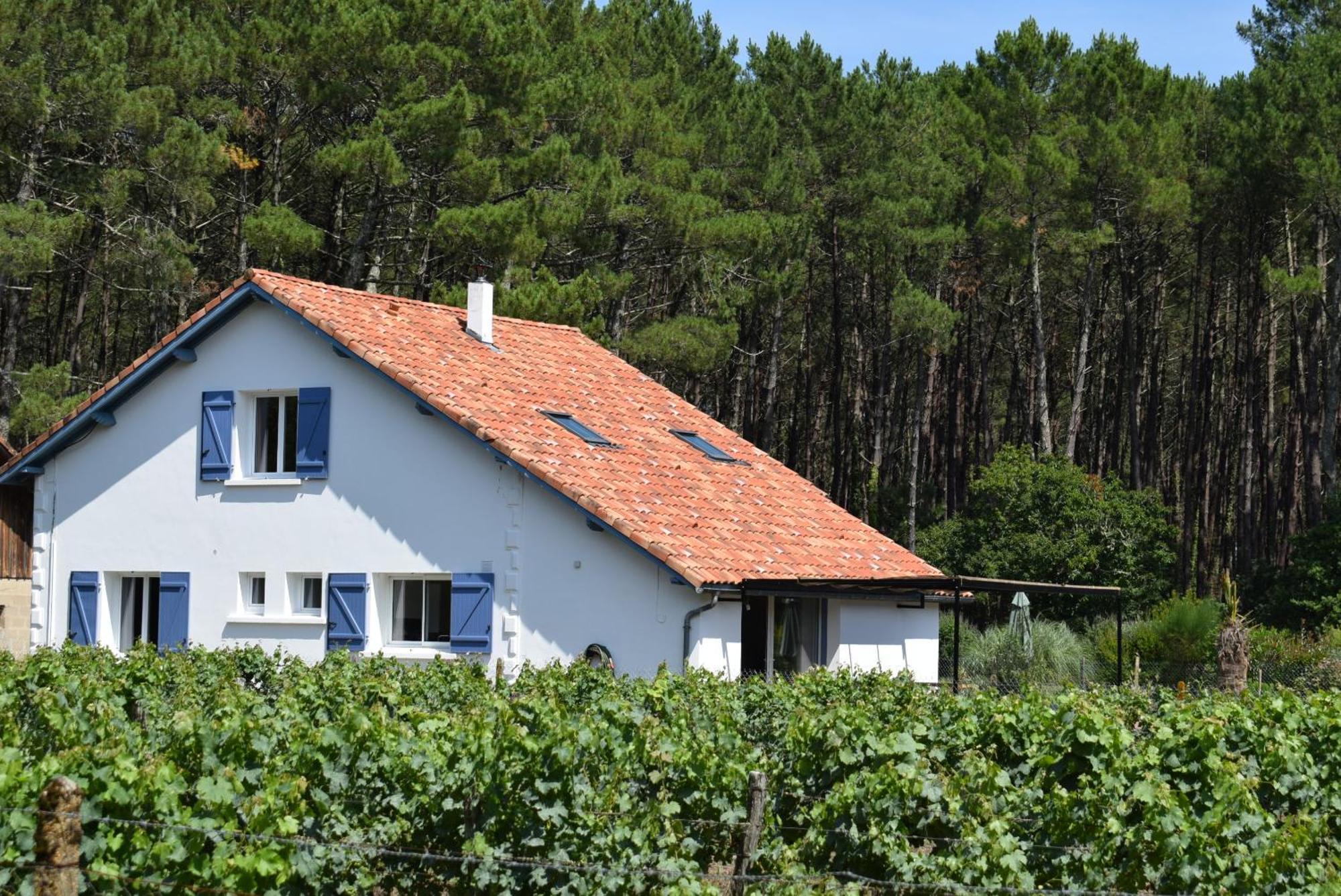 Evasion Cotiere Tranquillite Entre Foret Et Ocean Vielle-Saint-Girons Exterior foto